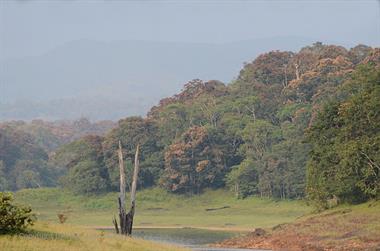 Periyar Lake N.P., ThekkadyDSC_7575_H600